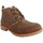 Chaussures Femme Bottines MTNG 52954 52954 