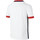 Vêtements Garçon T-shirts & Polos Nike Junior PSG Stadium Away 2015/2016 Blanc