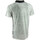 Vêtements Homme T-shirts & Polos Redskins Leo Tiamat (Gris) Gris