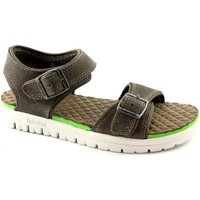 Chaussures Enfant Sandales et Nu-pieds Timberland TIM-A12KB-GR Gris