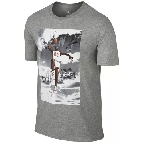 Vêtements Homme T-shirts manches courtes Nike Jordan Dunk From Above Gris
