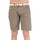 Vêtements Homme Shorts / Bermudas Geographical Norway Bermuda Palma 201 Taupe Marron