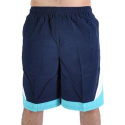 Vêtements Homme Maillots / Shorts de bain Speedo 7914 Bleu