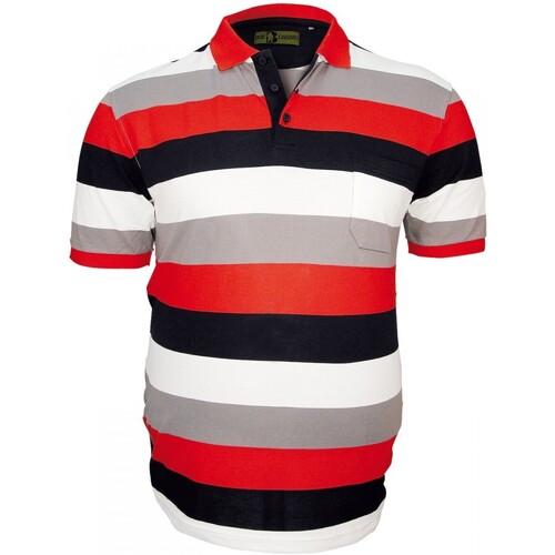 Vêtements Homme Polos manches courtes Doublissimo polo rugby sydney orange Orange