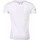 Vêtements Homme T-shirts manches courtes David Copper 6688982 Blanc