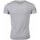 Vêtements Homme T-shirts manches courtes David Copper 6694339 Gris
