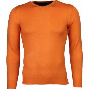 Vêtements Homme Sweats Tony Backer 7939211 Orange