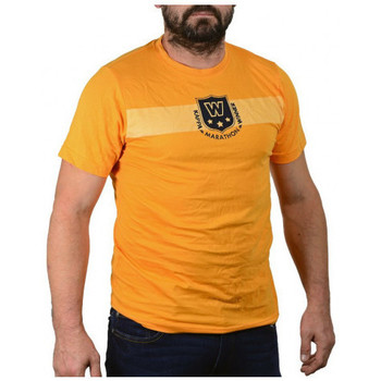Vêtements Homme T-shirts & Polos Kappa Tripack Maglie Orange