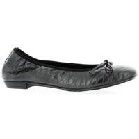 Chaussures Femme Ballerines / babies Elizabeth Stuart Ballerines cuir croco Noir