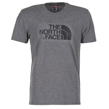 Vêtements Homme T-shirts manches courtes The North Face EASY TEE Gris