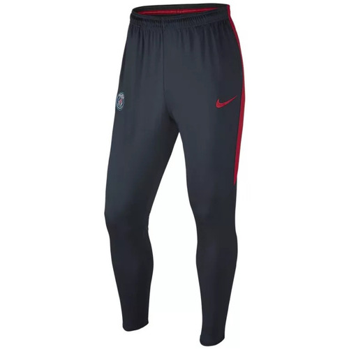 Vêtements Homme Pantalons de survêtement Nike PSG Bleu