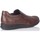 Chaussures Homme Baskets mode Fluchos BASKETS  8499 Marron