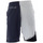 Vêtements Homme Shorts / Bermudas Nike Short  Jordan VIII Archive Bleu