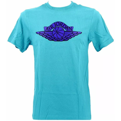 Vêtements Homme T-shirts & Polos Nike Jordan Wings Logo Bleu