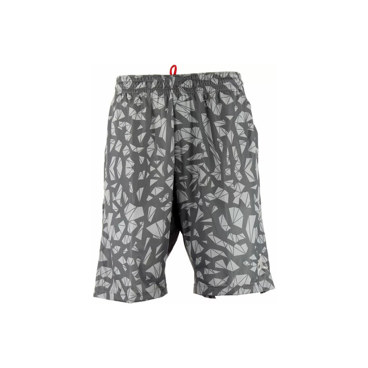 Vêtements Homme Shorts / Bermudas Nike Short match Jordan Fragmented Print Gris