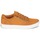 Chaussures Homme Baskets basses Timberland ADV 2.0 CUPSOLE ALPINE OX Marron