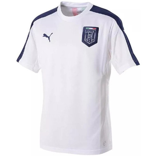 Vêtements Homme T-shirts & Polos Puma de football  FIGC Italia Stadium 201 Blanc