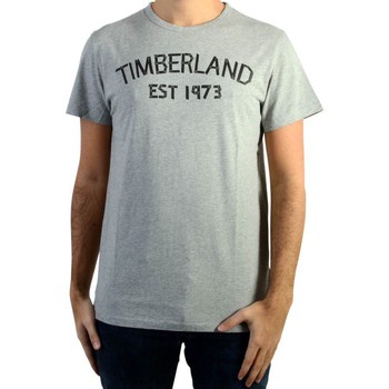 Vêtements Homme T-shirts manches courtes Timberland 92962 Gris
