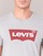 Vêtements Homme T-shirts manches courtes Levi's GRAPHIC SET-IN Gris
