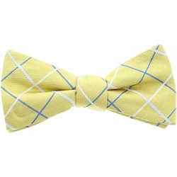 Vêtements Homme Cravates et accessoires Andrew Mc Allister noeud papillon dandy jaune Jaune