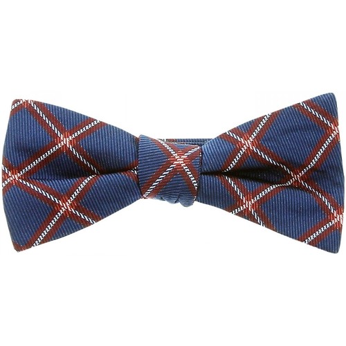 Vêtements Homme Cravates et accessoires Rideaux / stores noeud papillon dandy bleu Bleu