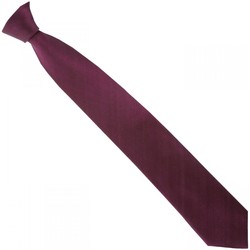 Vêtements Homme Cravates et accessoires Revendre des produits JmksportShopser cravate en soie smart rouge Rouge