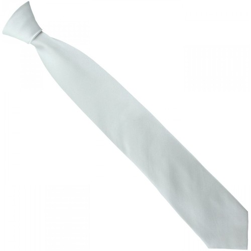 Vêtements Homme Cravates et accessoires Bébé 0-2 ans cravate en soie smart gris Gris