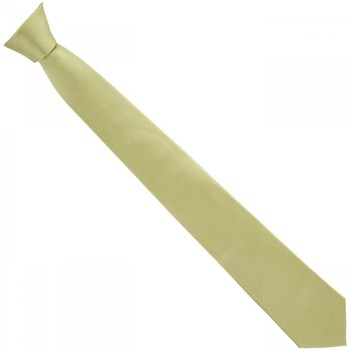 Vêtements Homme Cravates et accessoires Andrew Mc Allister cravate en soie classic vert Vert