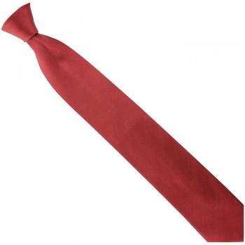 Vêtements Homme Cravates et accessoires Emporio Balzani cravate en soie unie bordeaux Rouge