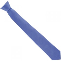 Vêtements Homme Cravates et accessoires Revendre des produits JmksportShopser cravate en soie classic bleu Bleu