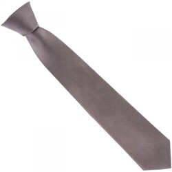 Vêtements Homme Cravates et accessoires Tous les vêtements cravate en soie classic gris Gris