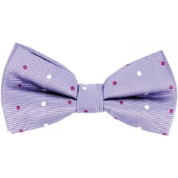 Vêtements Homme Cravates et accessoires Andrew Mc Allister noeud papillon bowtie parme Parme