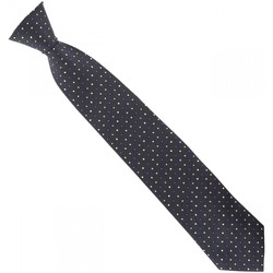 Vêtements Homme Cravates et accessoires Emporio Balzani cravate soie tissee business gris Gris