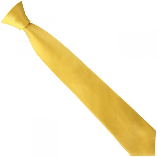 Vêtements Homme Costumes et cravates Homme | cravate uni classic jaune - SO65594