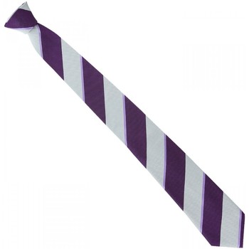 Vêtements Homme Cravates et accessoires Emporio Balzani cravate en soie club violet Violet