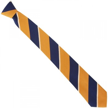 Vêtements Homme Cravates et accessoires Emporio Balzani cravate en soie club orange Orange