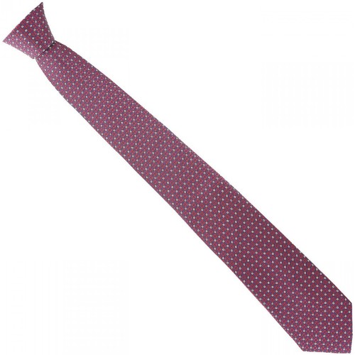 Vêtements Homme Cravates et accessoires Emporio Balzani cravate en soie jacquard bordeaux Rouge