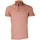 Vêtements Homme Polos manches courtes Andrew Mc Allister chemise brodee plymouth marron Marron