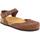 Chaussures Femme Sandales et Nu-pieds Grunland GRU-CCC-SB0002-MA Marron