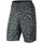 Vêtements Homme Shorts / Bermudas Nike Short  Jordan WHITE Printed City Gris