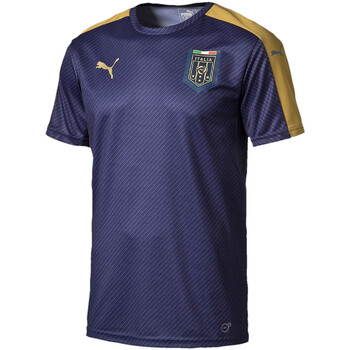 Vêtements Homme T-shirts & Polos Puma de football officiel  FIGC Italia St Bleu