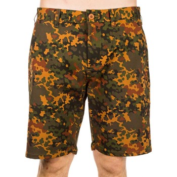 Vêtements Homme Shorts / Bermudas Obey BERMUDAS BLOTCH CAMO Camouflage