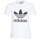 Vêtements Femme T-shirts manches courtes adidas Originals TREFOIL TEE Blanc