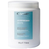 Beauté Accessoires cheveux Oyster Professional Oyster Bleacy White - Poudre décolorante blanche - 500g... Jaune/Doré