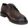 Chaussures Homme Mocassins Exton 4086 Gris