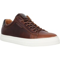Chaussures Homme Baskets basses Schmoove Spark Clay cuir Homme Horse Marron