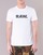 Vêtements Homme T-shirts manches courtes G-Star Raw HOLORN R T S/S Blanc