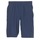 Vêtements Homme Shorts / Bermudas Under Armour WOVEN GRAPHIC WORDMARK SHORT Bleu