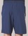 Vêtements Homme Shorts / Bermudas Under Armour WOVEN GRAPHIC WORDMARK SHORT Bleu