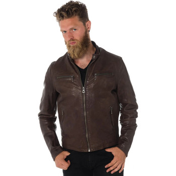 Vêtements Homme Vestes en cuir / synthétiques Daytona TRITON COW VEG  DARK BROWN Marron